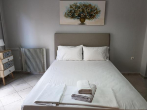 Smart Luxury Apartment